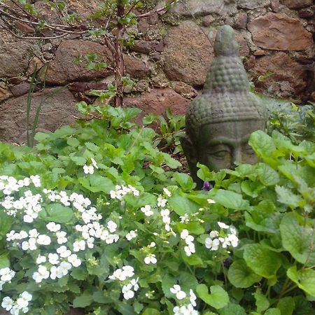 Bed and Breakfast Le Clos De La Source Le Bousquet-d'Orb Exterior foto