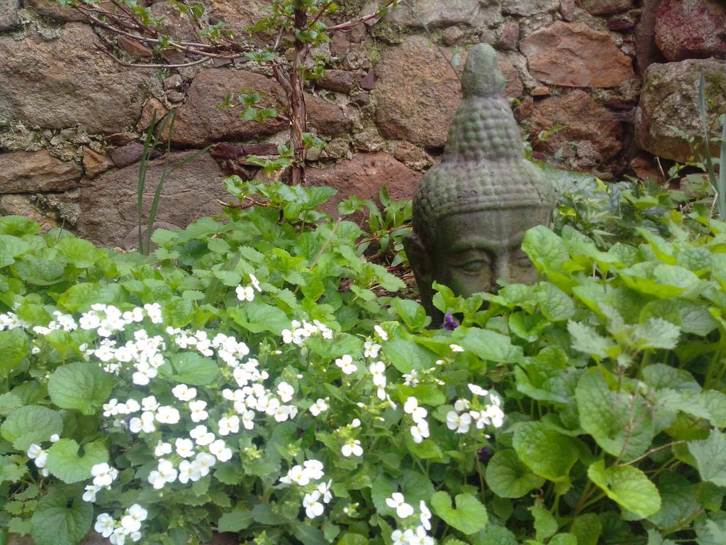 Bed and Breakfast Le Clos De La Source Le Bousquet-d'Orb Exterior foto