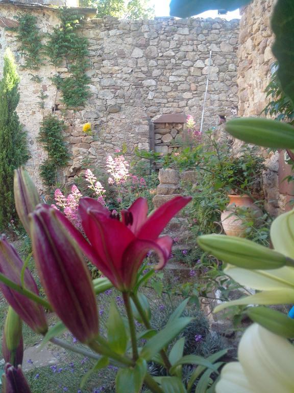 Bed and Breakfast Le Clos De La Source Le Bousquet-d'Orb Exterior foto